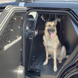 K9 F28 B P 8 19 W 5df159de883f3 K9 F28 B P 8 19 W 5df159de883f3