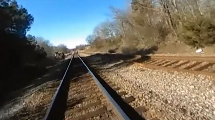 Polk County Police Officer Andy Anderson was hospitalized with six broken ribs after being hit by a train last Tuesday while chasing a burglary suspect.