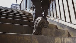 27081941 5e3afa633320b 27081941 5e3afa633320b