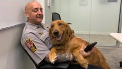 Frk9 5e590cc0eb82e Frk9 5e590cc0eb82e