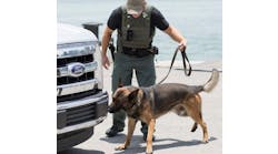 An explosive detection canine team working in an operational search scenario at a DHS S&amp;T REDDI event in Miami, Florida.