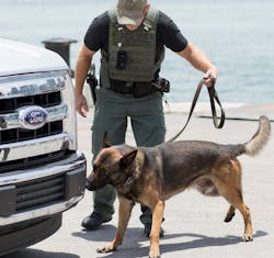An explosive detection canine team working in an operational search scenario at a DHS S&T REDDI event in Miami, Florida. An explosive detection canine team working in an operational search scenario at a DHS S&T REDDI event in Miami, Florida.