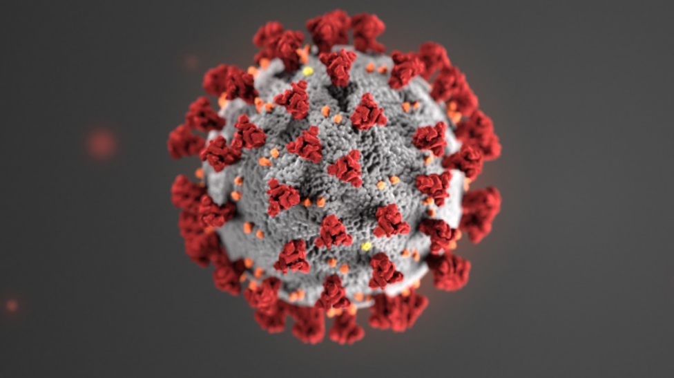 Scammers are leveraging the COVID-19 pandemic to steal your money, your personal information, or both.