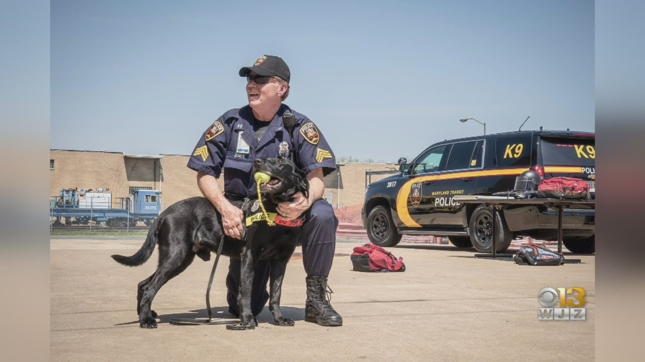 MTA Police Honor K9 On National K9 Veterans Day Officer