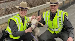 New York State Police helped rescue a goat that got stuck in a Central New York overpass on Wednesday afternoon.