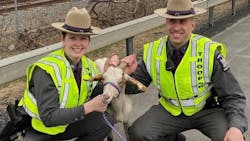 New York State Police helped rescue a goat that got stuck in a Central New York overpass on Wednesday afternoon. New York State Police helped rescue a goat that got stuck in a Central New York overpass on Wednesday afternoon.