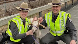 New York State Police helped rescue a goat that got stuck in a Central New York overpass on Wednesday afternoon.