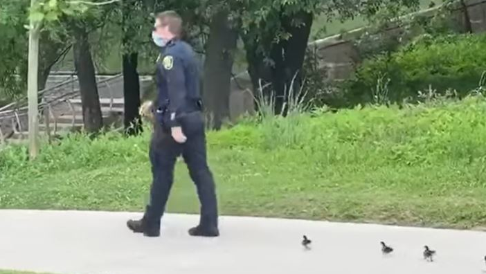 Houston parks closed to the public in an effort to avoid mass gatherings over Easter weekend, but police still found themselves busy thanks to a family of ducklings that needed some assistance.