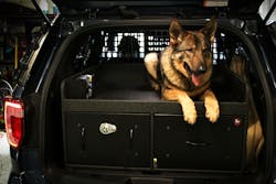 K 9 Sonny And Corporal Frey 4 K 9 Sonny And Corporal Frey 4