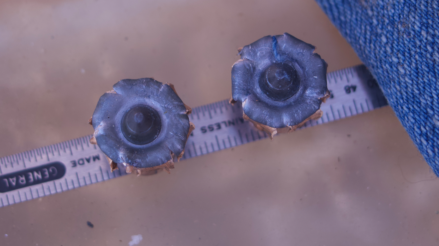 Ammunition Review of the Federal Premium HydraShok Deep LET August