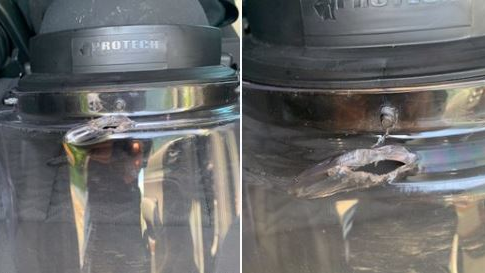 A Missouri State Highway Patrol trooper was saved by his riot helmet after it was struck by gunfire while responding to the violence in downtown St. Louis Monday night.