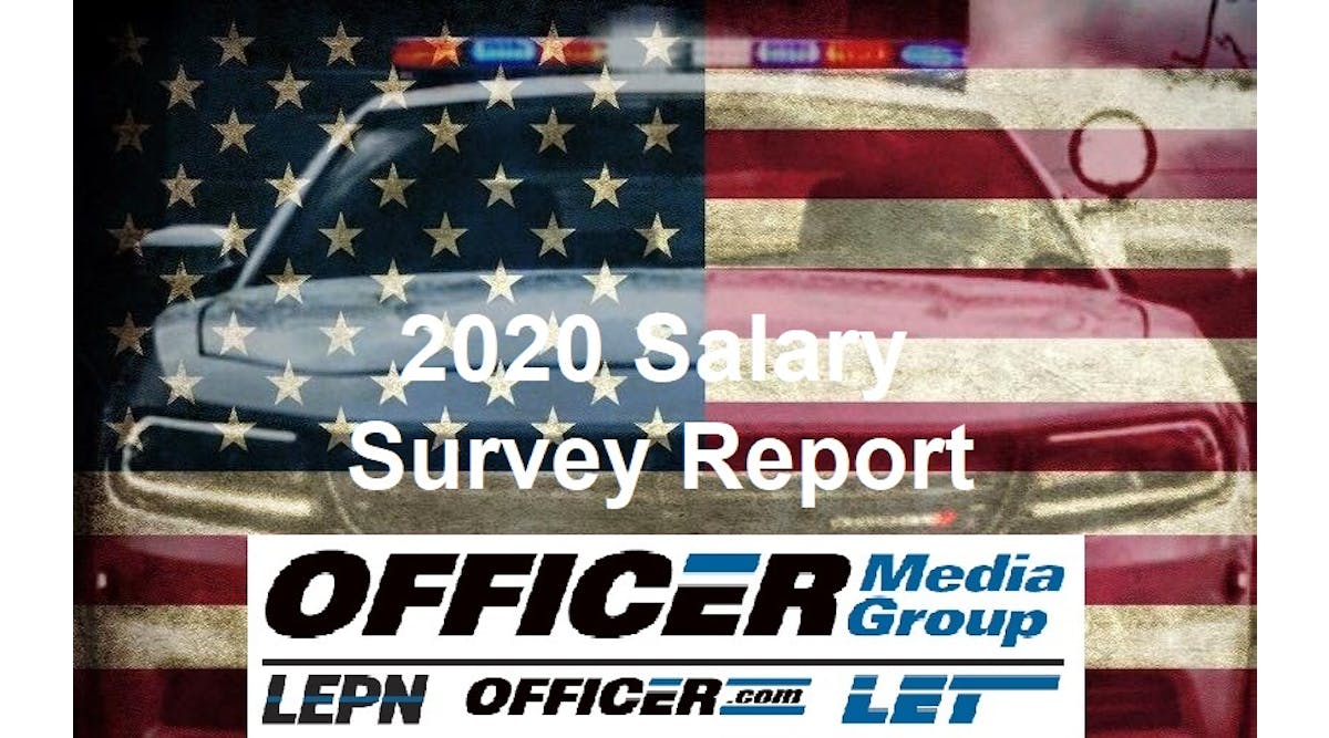 Salary Report 2020 Image