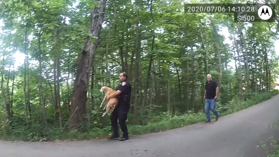 Caledonia Police Officer Cory Radke was the first to arrive on scene and held a neighbor check the home before locating the dog.