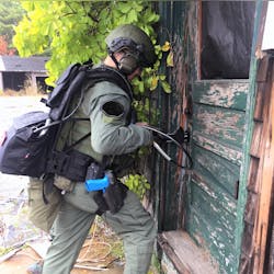 Picture 1 5f3e9c2257fcf Picture 1 5f3e9c2257fcf