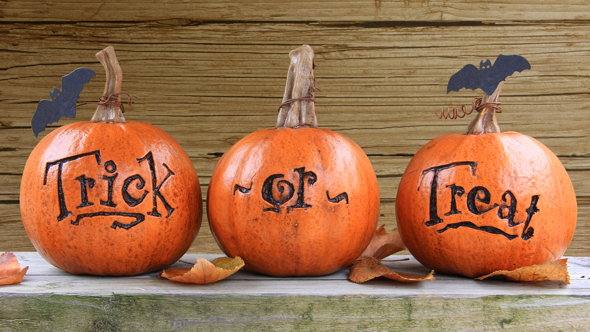 Halloween 5f9885087eaa0