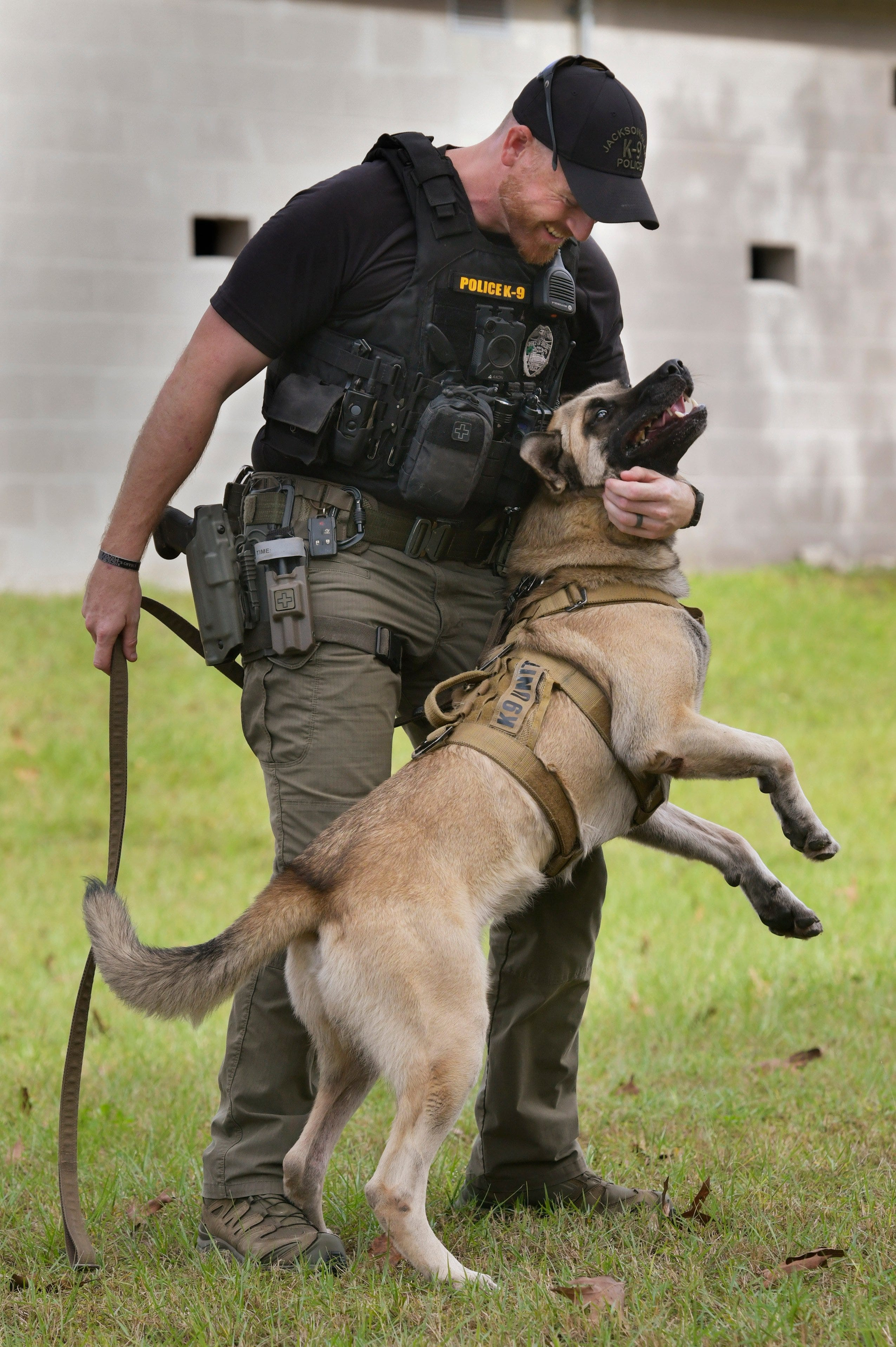 Union County Sheriff's Office K9 Unit Training K9 Police 2025
