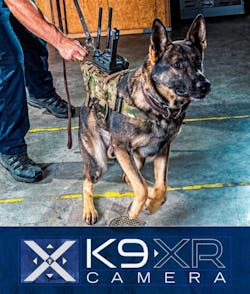 K9xr 5f76453b791e5 K9xr 5f76453b791e5