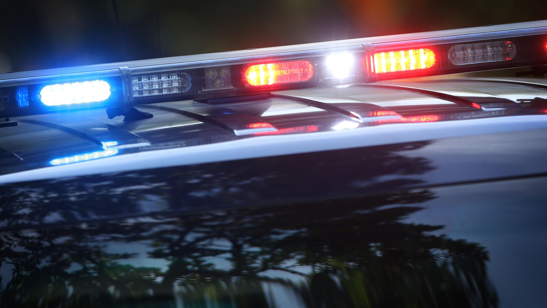 Cop hit with hammer.