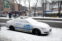 Dreamstime 65272489 5fa31544bbed8 Dreamstime 65272489 5fa31544bbed8