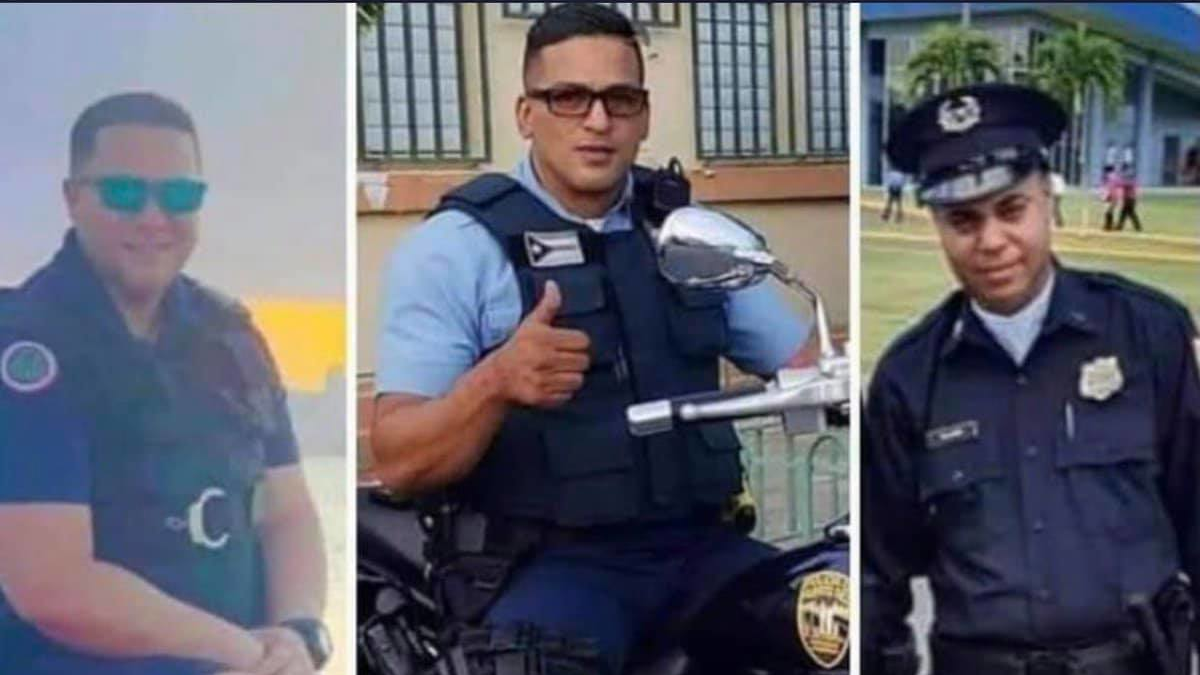 137535401 1295644764128037 3430078330906464089 O 5ffdefdf26f63