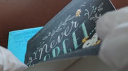 Erie Co Picture2 Erie Co Picture2