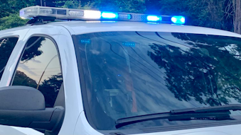 30 arrests made in sting.