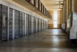 When COVID-19 was added into the mix, the already overcrowded corrections systems became even more crowded because of all the additional space necessary to provide for social distancing. When COVID-19 was added into the mix, the already overcrowded corrections systems became even more crowded because of all the additional space necessary to provide for social distancing.