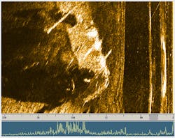 Truck Image 607f27c4f09f5 Truck Image 607f27c4f09f5