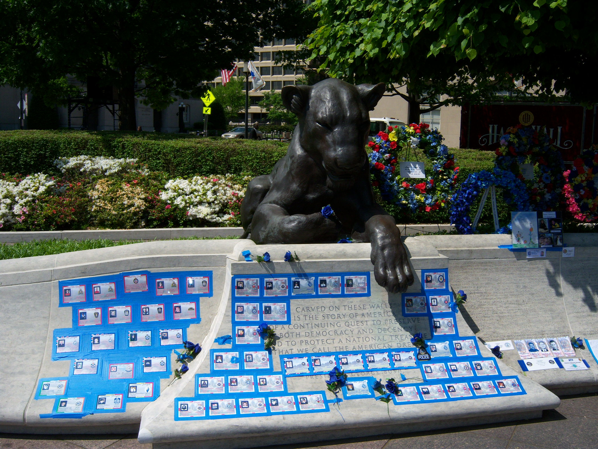 100 0972 60993b08b4706