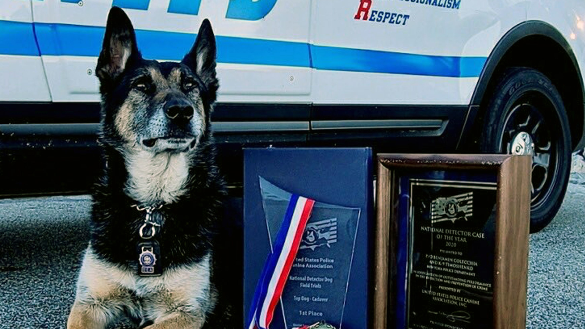 K9 Training Services Officer