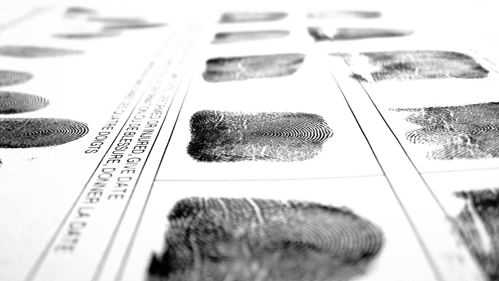 Dreamstime Xxl 21932189