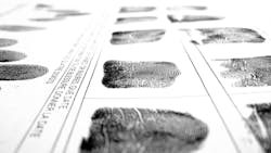 Dreamstime Xxl 21932189 60ba17292a688 Dreamstime Xxl 21932189 60ba17292a688