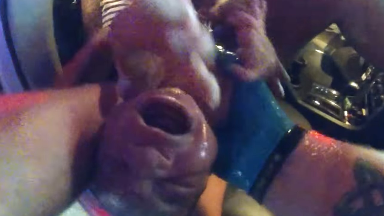 A Hillsborough County, FL, sheriff's deputy helps deliver a baby after a woman went into labor in a 7-Eleven parking lot in Valrico on Tuesday.