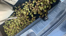 A squirrel with 'some kind of ninja training' led a Pine County, MN, sheriff's deputy to around 200 nuts that had been secretly stashed in the trunk of the officer's patrol car.
