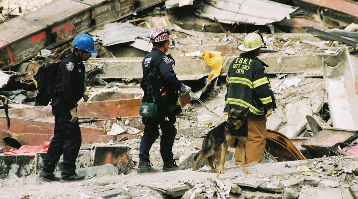 Rescue workers work with dogs to search for victims of the World Trade Center attacks in New York City on September 27, 2001.