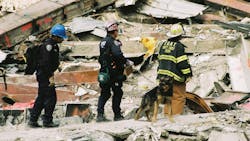Rescue workers work with dogs to search for victims of the World Trade Center attacks in New York City on September 27, 2001.
