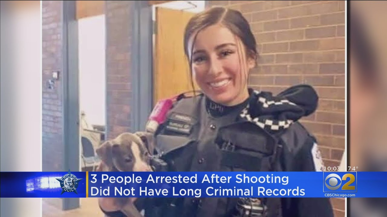 3 People Arrested in Shooting That Killed Chicago Police Officer ...