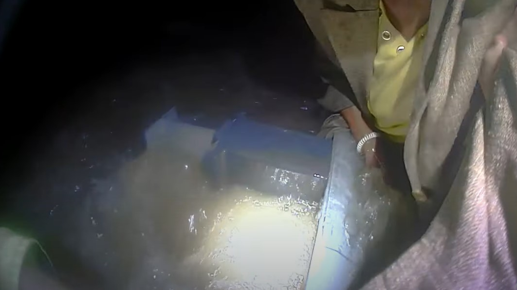 An Ewing, NJ, police officer rescued a woman clinging to a guard rail during Hurricane Ida flash flooding Sept. 1.