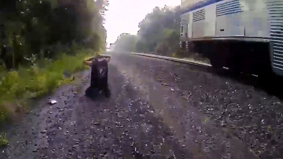 Porter Officer Train Rescue (in)