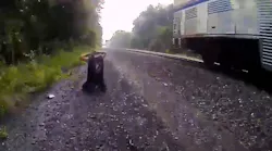 Porter Officer Train Rescue (in)