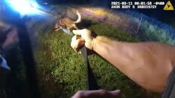 Two Volusia County, FL, Sheriff's Office K-9s were shot and wounded while pursuing a carjacking suspect Saturday. Two Volusia County, FL, Sheriff's Office K-9s were shot and wounded while pursuing a carjacking suspect Saturday.