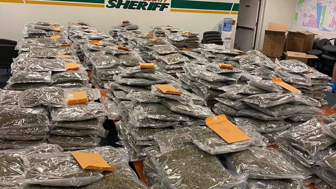 The Brevard County, FL, Sheriff's Office confiscated $2 million in marijuana from a storage unit in Viera.