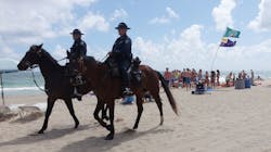 Fort Lauderdale police patrol the beach by horseback during spring break in March 2015. The department’s mounted patrol unit is made up of one sergeant, six officers and nine horses. Fort Lauderdale police patrol the beach by horseback during spring break in March 2015. The department’s mounted patrol unit is made up of one sergeant, six officers and nine horses.