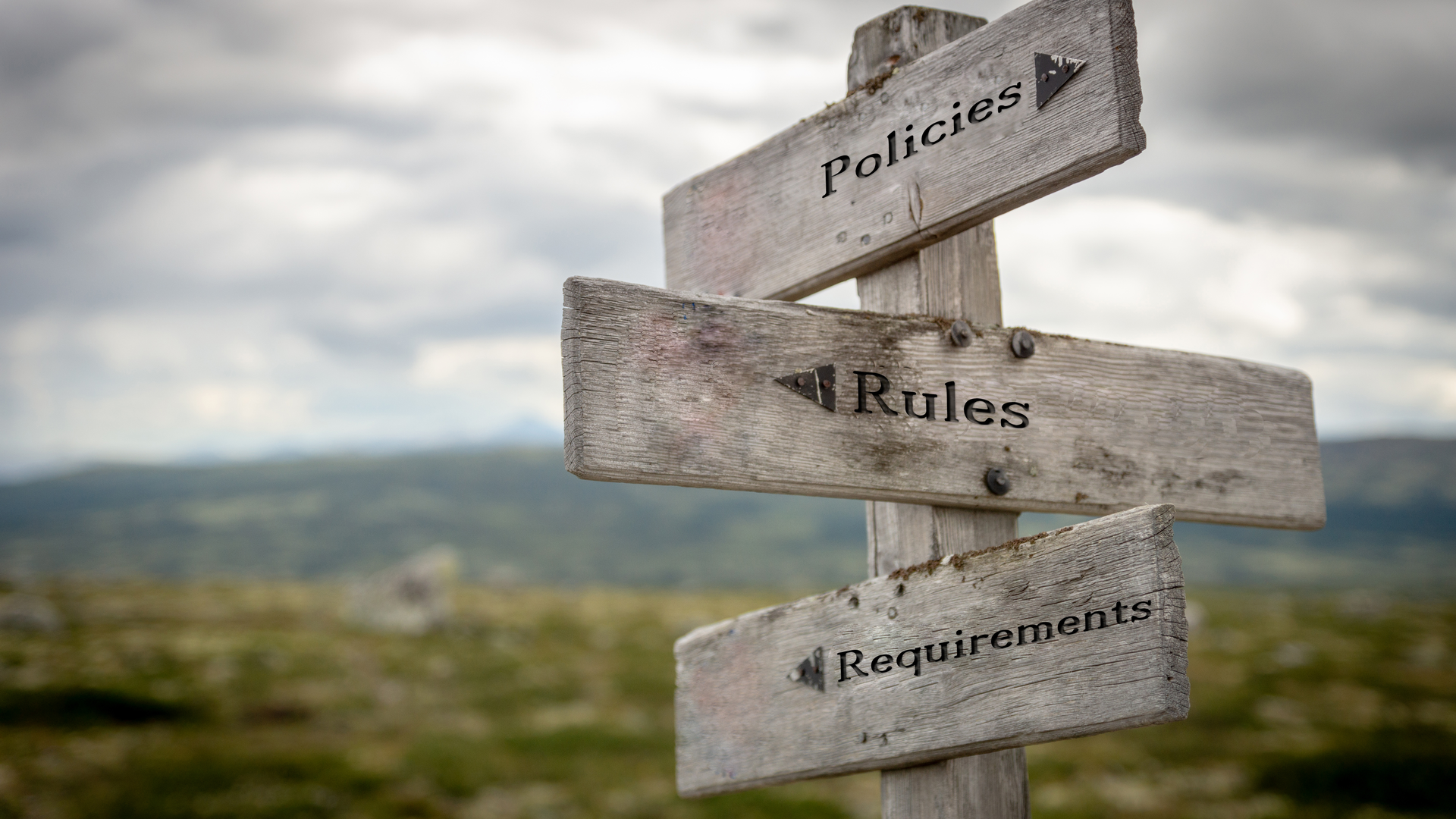 Dreamstime Xxl 172532256 616edc3dd5fa9