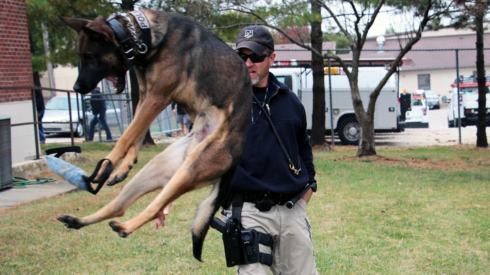 Loki is training to be the Spring Hill, KS, Police Department's newest K-9 after the department saved him from being euthanized after an underdeveloped kidney was discovered.