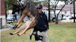 Loki is training to be the Spring Hill, KS, Police Department&apos;s newest K-9 after the department saved him from being euthanized after an underdeveloped kidney was discovered.
