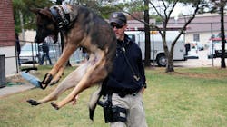 Loki is training to be the Spring Hill, KS, Police Department&apos;s newest K-9 after the department saved him from being euthanized after an underdeveloped kidney was discovered.
