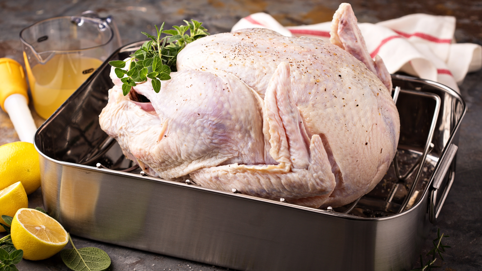 Thanksgiving Turkey Dt 619f126328623