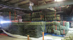 Oregon State Police troopers seized 250 tons of a marijuana while serving a warrant at an illegal processing facility in White City on Thursday.