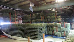 Oregon State Police troopers seized 250 tons of a marijuana while serving a warrant at an illegal processing facility in White City on Thursday.